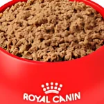 royal canin gastrointestinal low fat