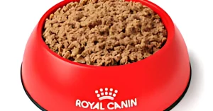 royal canin gastrointestinal low fat
